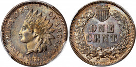 1873 Indian Cent. Close 3. Snow-1a, FS-101. Doubled LIBERTY. MS-64 BN (PCGS).

A fantastic condition rarity to represent this visually dramatic, eager...
