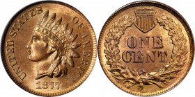 1877 Indian Cent. MS-65 RD (PCGS).

Offered is a rare and highly desirable full Red Gem Mint State example of the famous key date 1877 Indian cent. Hi...