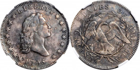 1795 Flowing Hair Half Dollar. O-126a, T-22. Rarity-4+. Small Head, Two Leaves. AU Details--Cleaned (NGC).

With plenty of bold to sharp detail remain...