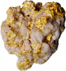 Native Gold Specimen. Approximately 19.7 mm x 25.4 mm x 15.1 mm. 15.9 grams.

An interesting specimen heavily laden with white quartz crystals. Satiny...