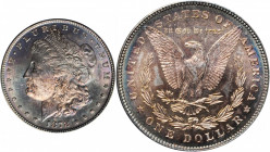 1878 Morgan Silver Dollar. 7/8 Tailfeathers. Weak. MS-64 (ICG).

PCGS# 7070.

Estimate: $200.00