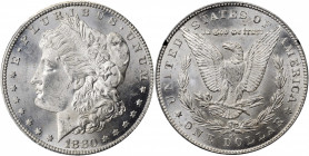 1880-CC GSA Morgan Silver Dollar. MS-63 (NGC).

The original box and card are included.

PCGS# 518857. NGC ID: 2542.

Estimate: $500.00