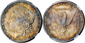 1880-S Morgan Silver Dollar. MS-64 DPL (NGC). CAC.

PCGS# 97119. NGC ID: 2544.

Estimate: $250.00