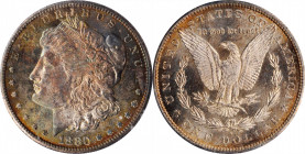 1880-S Morgan Silver Dollar. MS-64 (PCGS). OGH--First Generation.

PCGS# 7118. NGC ID: 2544.

Estimate: $200.00