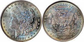 1881 Morgan Silver Dollar. MS-65 (PCGS). CAC.

PCGS# 7124. NGC ID: 2546.

Estimate: $500.00