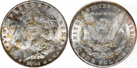 1881-CC Morgan Silver Dollar. MS-65 (PCGS). CAC. OGH.

PCGS# 7126. NGC ID: 2547.

Estimate: $900.00