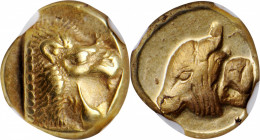 LESBOS. Mytilene. EL Hekte (2.58 gms), ca. 521-478 B.C. NGC Ch EF, Strike: 3/5 Surface: 5/5.

Bodenstedt-12; HGC-6, 937. Obverse: Head of roaring lion...