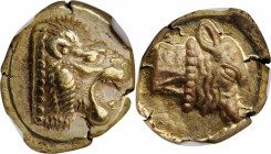 LESBOS. Mytilene. EL Hekte (2.53 gms), ca. 521-478 B.C. NGC Ch AU, Strike: 4/5 Surface: 5/5.

Bodenstedt-13; HGC-6, 938. Obverse: Head of roaring lion...