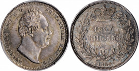 GREAT BRITAIN. Shilling, 1834. London Mint. William IV. PCGS MS-63 Gold Shield.

S-3835; KM-713. A pleasing, well struck Shilling with frosty surfaces...
