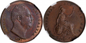 GREAT BRITAIN. Farthing (1/4 Penny), 1831. London Mint. William IV. NGC MS-65 Brown.

S-3848; KM-705. A pleasing Gem with soft luster and a crescent o...