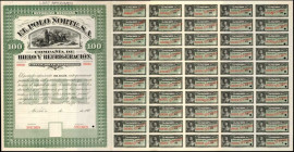 MEXICO. El Polo Norte S.A. 100 Dollars, 190x. Bond. Specimen.

A specimen bond from this refrigeration company. A depiction of the North Pole is seen ...
