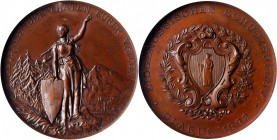 SWITZERLAND. Glarus Shooting Festival Bronze Medal, 1892. NGC MS-63 Brown.

R-808e. Diameter: 45mm. A softly lustrous Medal with smooth, dark chocolat...