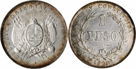 URUGUAY. Peso, 1893. PCGS MS-61 Gold Shield.

KM-17a. Round top 3 Variety. A brightly lustrous and very presentable Peso, with russet to plum peripher...