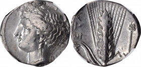 ITALY. Lucania. Metapontion. AR Stater (Nomos) (7.86 gms), ca. 340-330 B.C. NGC Ch VF, Strike: 4/5 Surface: 3/5.

HGC-1; 1056; HN Italy-1556; Johnston...