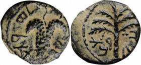 JUDAEA. Bar Kochba Revolt, 132-135 C.E. AE 18 (3.96 gms), Jerusalem Mint, attributed to Year 3 (134/5 C.E.). NEARLY EXTREMELY FINE.

Mildenberg-156 (O...