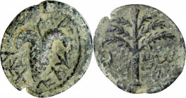 JUDAEA. Bar Kochba Revolt, 132-135 C.E. AE 18 (4.68 gms), Jerusalem Mint, attributed to Year 3 (134/5 C.E.). VERY FINE.

Mildenburg-158 (O4/R8); Mesho...