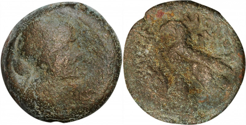 PTOLEMAIC EGYPT. Kleopatra VII Thea, 51-30 B.C. AE Obol (40 Drachmai) (8.65 gms)...