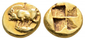 Greek
MYSIA, Kyzikos. (Circa 500-450 BC). 
EL Hemihekte (9mm 1.38g)
Boar standing left on tunny / Quadripartite incuse square. 
Von Fritze I 90; cf. S...