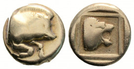 Greek
LESBOS. Mytilene. (Circa 454-428/7 BC).
Hekte Electrum (10.6mm 2.50g)
Forepart of boar right. / Head of roaring lion right within linear border;...