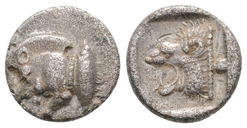 Greek
MYSIA. Kyzikos. (Circa 525-475 BC).
Diobol (10.6mm 1.06g)
Forepart of b...