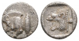 Greek
MYSIA. Kyzikos. (Circa 525-475 BC).
Diobol (10.6mm 1.06g)
Forepart of boar left; tunny behind./ Head of roaring lion left.
SNG France 361 ff...