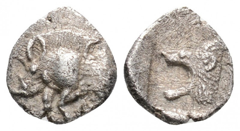 Greek
Mysia. Kyzikos (circa 480 BC.)
Obol (8.9mm 0.48g)
Forepart of boar left wi...