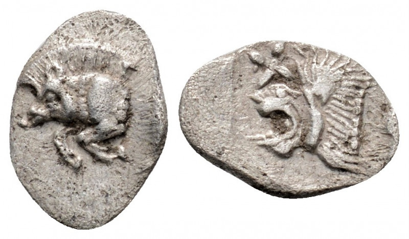 Greek
Mysia. Kyzikos. (Circa 450-400 BC)
Hemiobol Silver (10.6mm 0.43g)
Forepart...