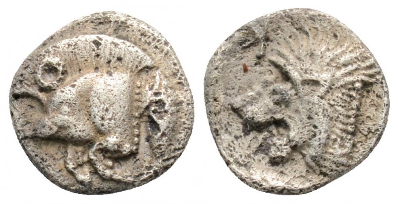 Greek
Mysia, Kyzikos (Circa. 450-400 BC)
Obol Silver (9.6mm 0.79g)
Forepart of b...
