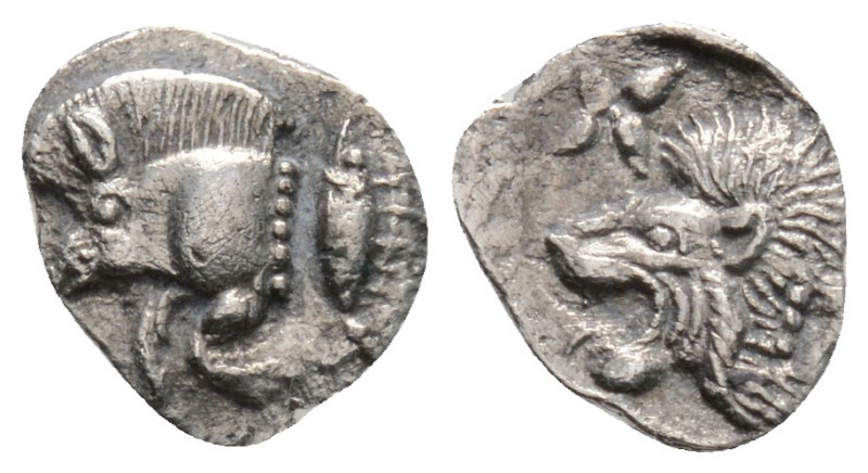 Greek
Mysia, Kyzikos. (Circa 450-400 BC)
Hemiobol Silver (9.4mm 0.33g).
Forepart...