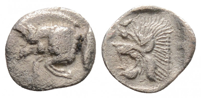 Greek
MYSIA, KYZIKOS (circa 450-400 BC).
Hemiobol Silver (8.5mm 0.30g)
Forepart ...