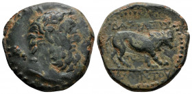 Greek
KINGS OF GALATIA. Amyntas (39-25 BC)
AE Bronze (21mm 5.76g)
Head of Herakles to right, with club over his left shoulder. / ΒΑΣΙΛΕΩΣ - ΑΜΥΝΤΟΥ Li...