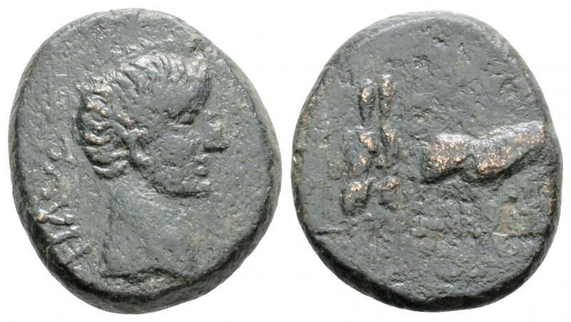 Roman Provincial
MACEDON, Philippi(?). Tiberius. ( 14-37 AD).
AE Bronze (18mm 4....