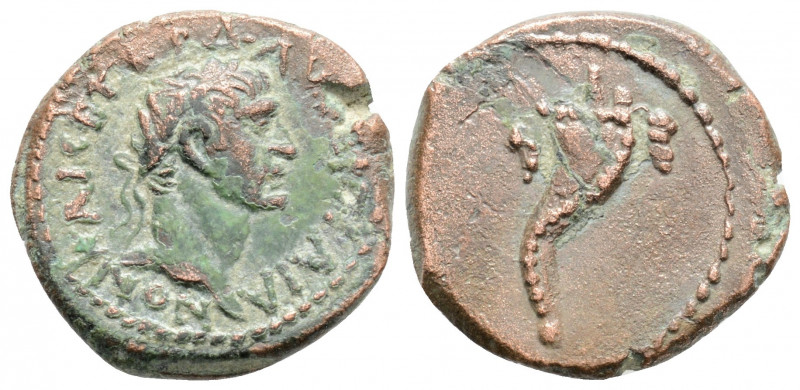 Roman Provincial
Asia Minor. Uncertain mint probably of Bithynia. Trajan (98-11...