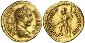 (205 d.C.). Caracalla. Áureo. (Spink 6733) (Co. 419) (RIC. 80a) (Calicó 2777). 6,94 g. Raspaduras en anverso. Atractiva. Rara. EBC-.