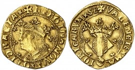 Ferran II (1479-1516). València. Ducat. (Cru.V.S. 2111) (Cru.C.G. 3120 var). 3,44 g. Preciosa pátina. Rara. EBC-.