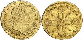 1702. Francia. Luis XIV. L (Bayona). 1 luis de oro. (Fr. falta) (Kr. falta) (Gadoury 253). 6,68 g. AU. Bella. Rara. EBC-.