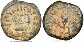 JUDAEA. Roman Procurators. Pontius Pilate (AD 26-36). AE prutah (15mm, 8h). NGC Choice Fine, repatinated. Jerusalem, dated Regnal Year 16 of Tiberius ...