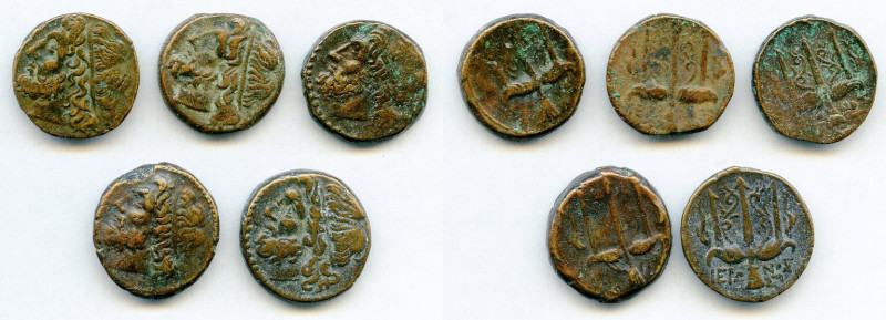 ANCIENT LOTS. Greek. Sicily. Syracuse. Hieron II (ca. 240-215 BC). Lot of five (...