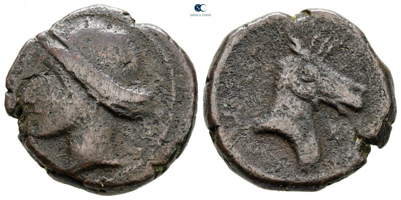 Hispania. Punic Iberia circa 237-209 BC. 
Unit Æ

21 mm, 8,29 g



nearly...