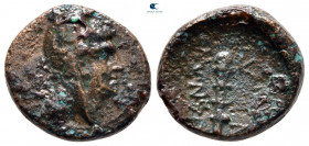 Bithynia. Kios circa 330-300 BC. Bronze Æ