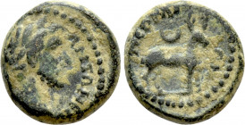 PAMPHYLIA. Perge. Antoninus Pius (138-161). Ae