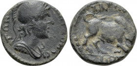 CARIA. Trapezopolis. Pseudo-autonomous. Time of Antoninus Pius (138-161). Ae. Poli- Adrastos, magistrate
