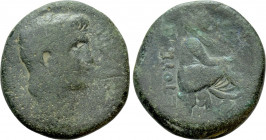 EASTERN CILICIA or NORTHERN LEVANT. Uncertain Caesarea. Claudius (41-54). Ae. Dated RY 5 (46)