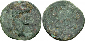 SELEUCIS & PIERIA. Antioch. Antoninus Pius (138-161). Ae