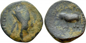 KINGS OF ARMENIA. Tigranes V (Circa 6-12). Ae Dichalkon. Artagigarta(?)