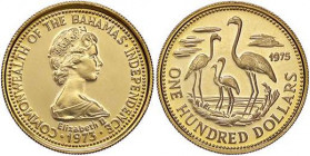 ESTERE - BAHAMAS - Elisabetta II (1952) - 100 Dollari 1975 - Fenicotteri Kr. 73 (AU g. 5,46)Onde continue dietro i fenicotteri
Onde continue dietro i...