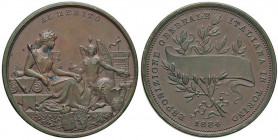 MEDAGLIE - SAVOIA - Umberto I (1878-1900) - Medaglia 1884 - Esposizione generale italiana Torino AE Ø 38
BB-SPL
