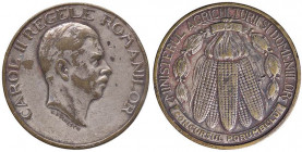 MEDAGLIE ESTERE - ROMANIA - Carlo II (1930-1940) - Medaglia 1939 - Ministero dell'agricoltura MB Ø 36
BB