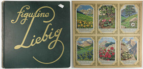 VARIE - Figurine Lotto di 216 carte diverse della pubblicità Liebig su album dedicato
Ottimo