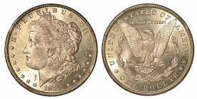 USA. Morgan Dollar 1883, zecca di Carson City. Testa della Libertà a s. R/ Aquila ad ali spiegate, volta a s., stringe fra gli artigli ramo d'ulivo e ...